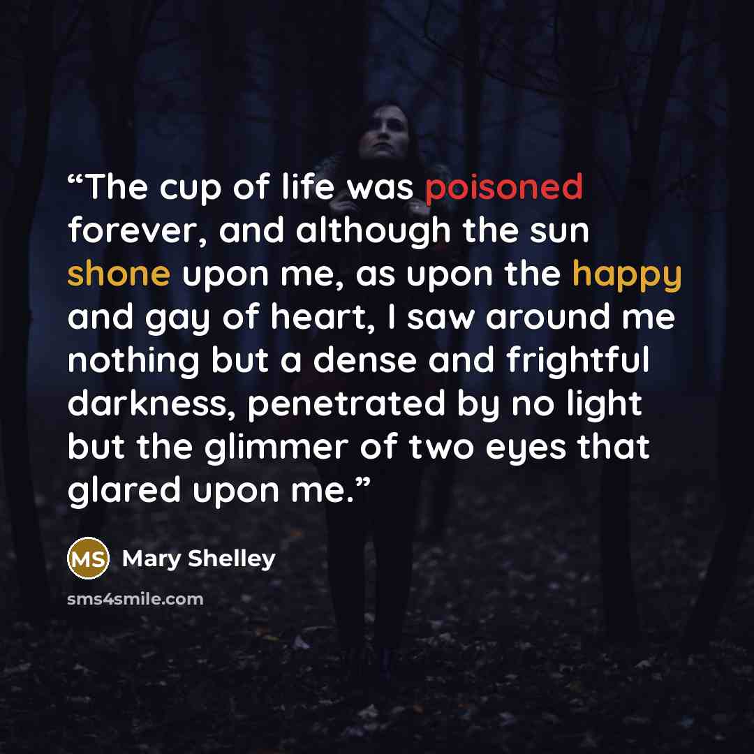 “The cup of life was poisoned forever, and although the sun shone upon me, as upon the happy and gay of heart, I saw around me nothing but a dense and frightful darkness, penetrated by no light but the glimmer of two eyes that glared upon me.” quote by Mary Shelley