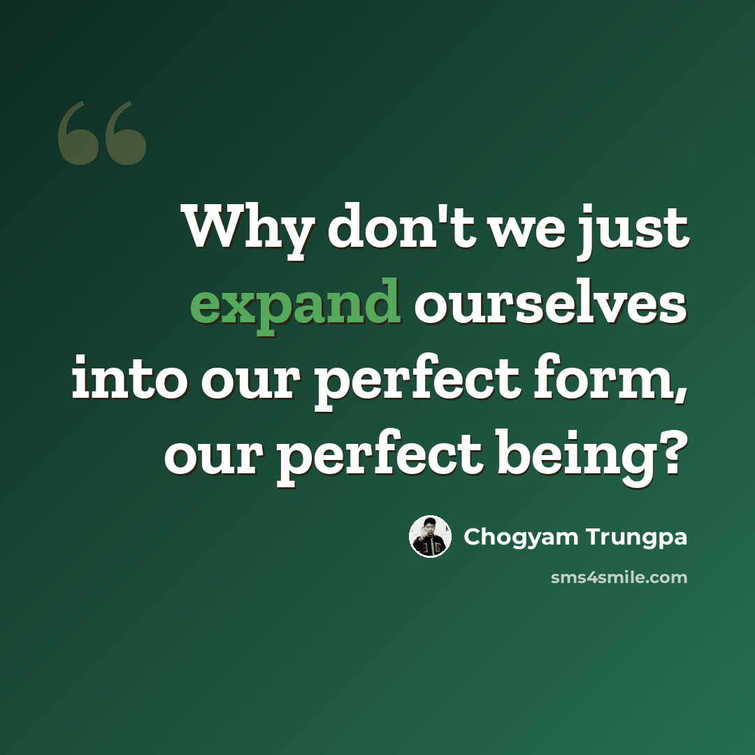 “Why don't we just expand ourselves into our perfect form, our perfect being?” quote by Chogyam Trungpa