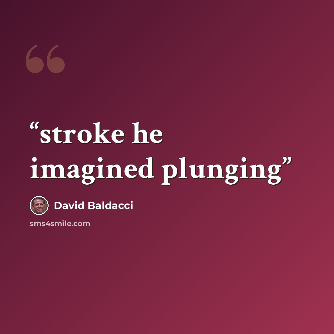“stroke he imagined plunging” quote by David Baldacci