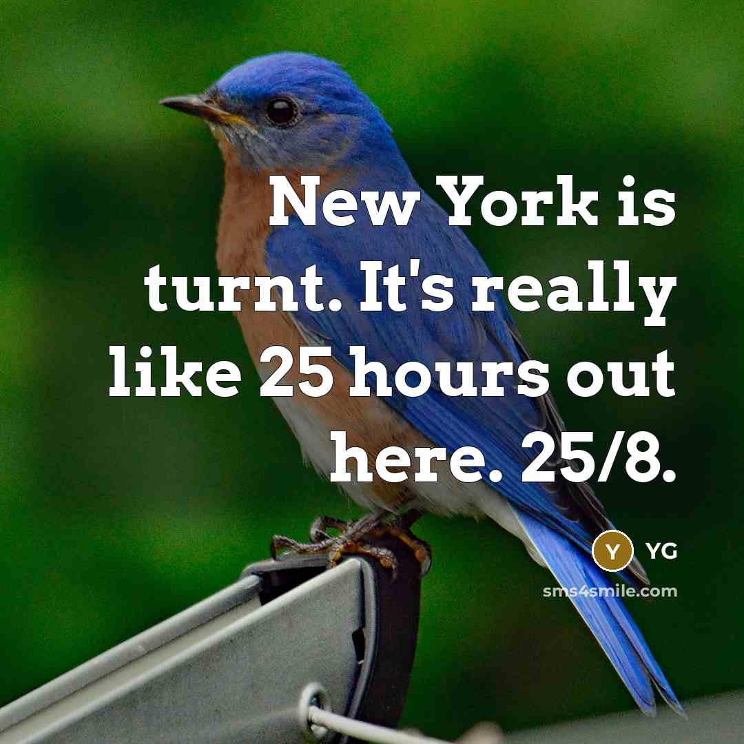 “New York is turnt. It's really like 25 hours out here. 25/8.” quote by YG