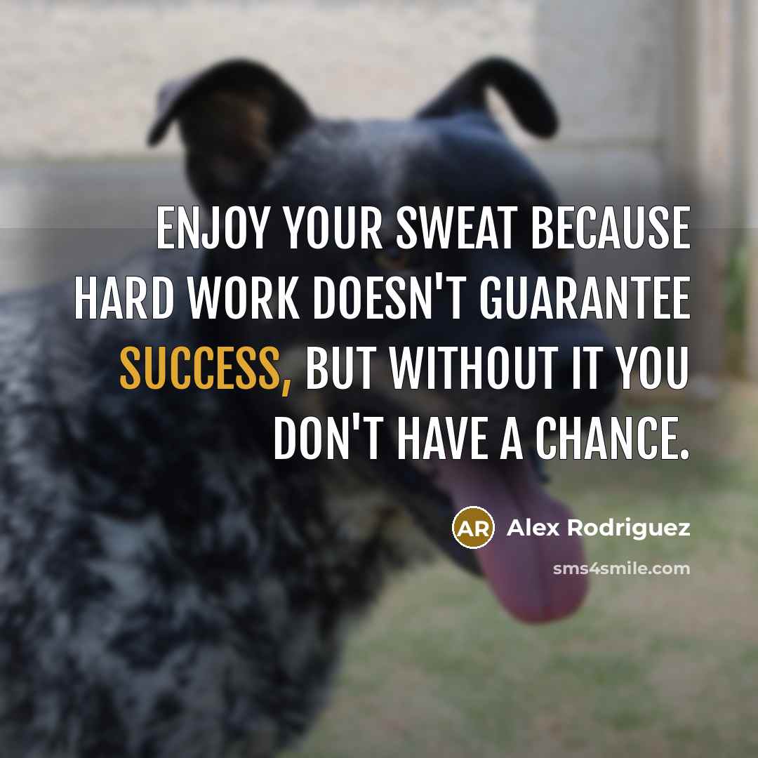 “Enjoy your sweat because hard work doesn't guarantee success, but without it you don't have a chance.” quote by Alex Rodriguez