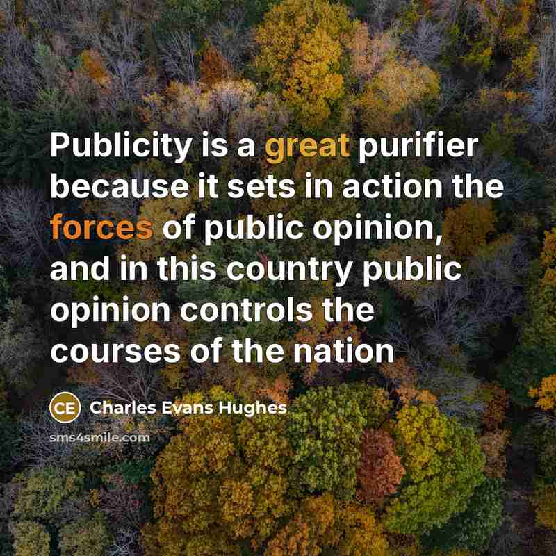 “Publicity is a great purifier because it sets in action the forces of public opinion, and in this country public opinion controls the courses of the nation” quote by Charles Evans Hughes