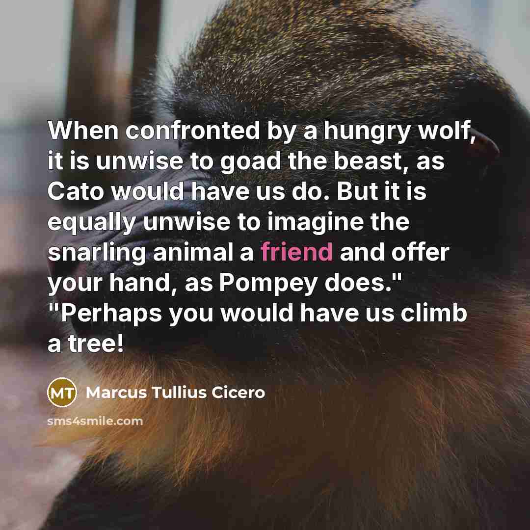 “When confronted by a hungry wolf, it is unwise to goad the beast, as Cato would have us do. But it is equally unwise to imagine the snarling animal a friend and offer your hand, as Pompey does." "Perhaps you would have us climb a tree!” quote by Marcus Tullius Cicero