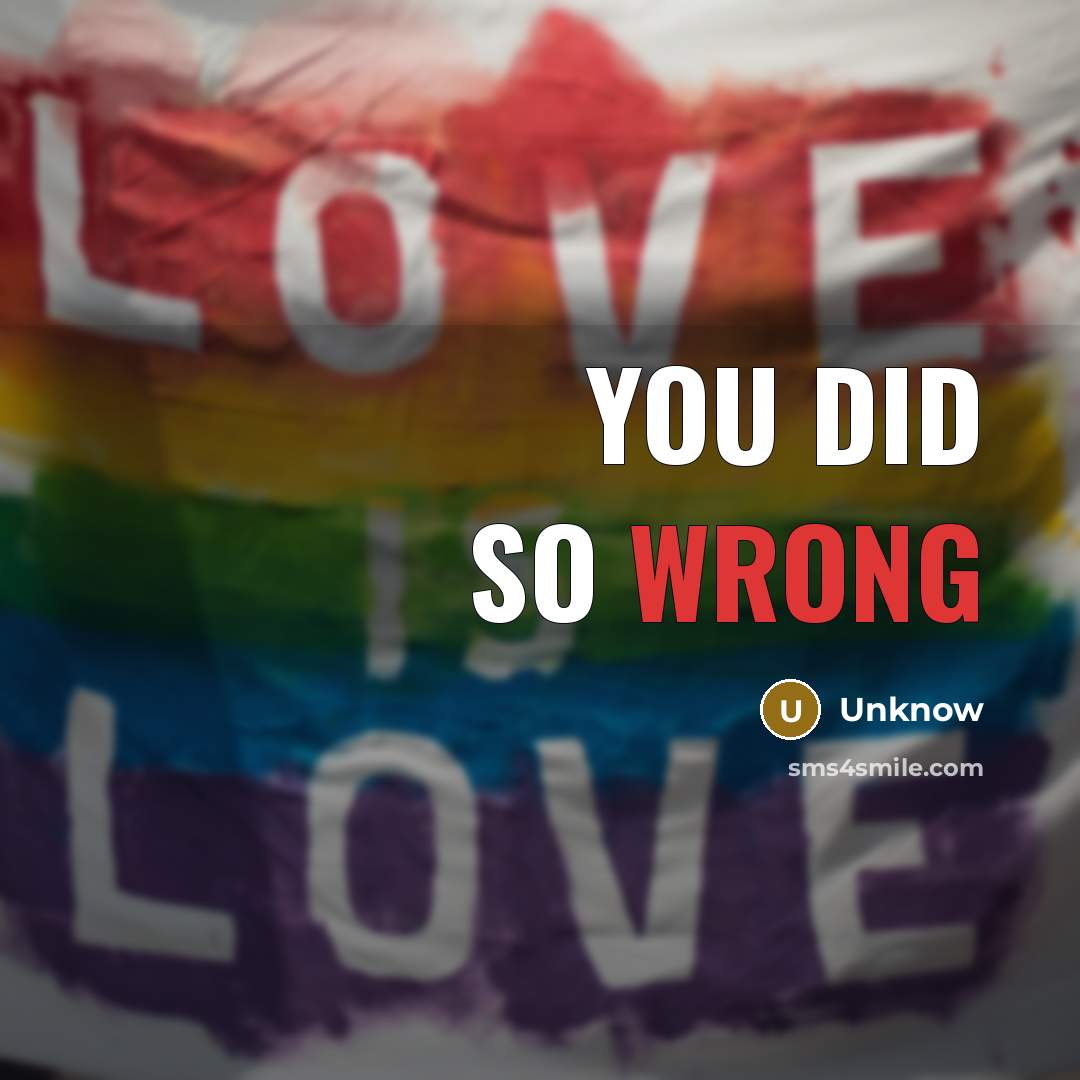 “You did so wrong” quote by Unknow