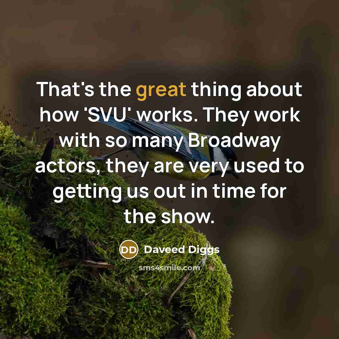 “That's the great thing about how 'SVU' works. They work with so many Broadway actors, they are very used to getting us out in time for the show.” quote by Daveed Diggs
