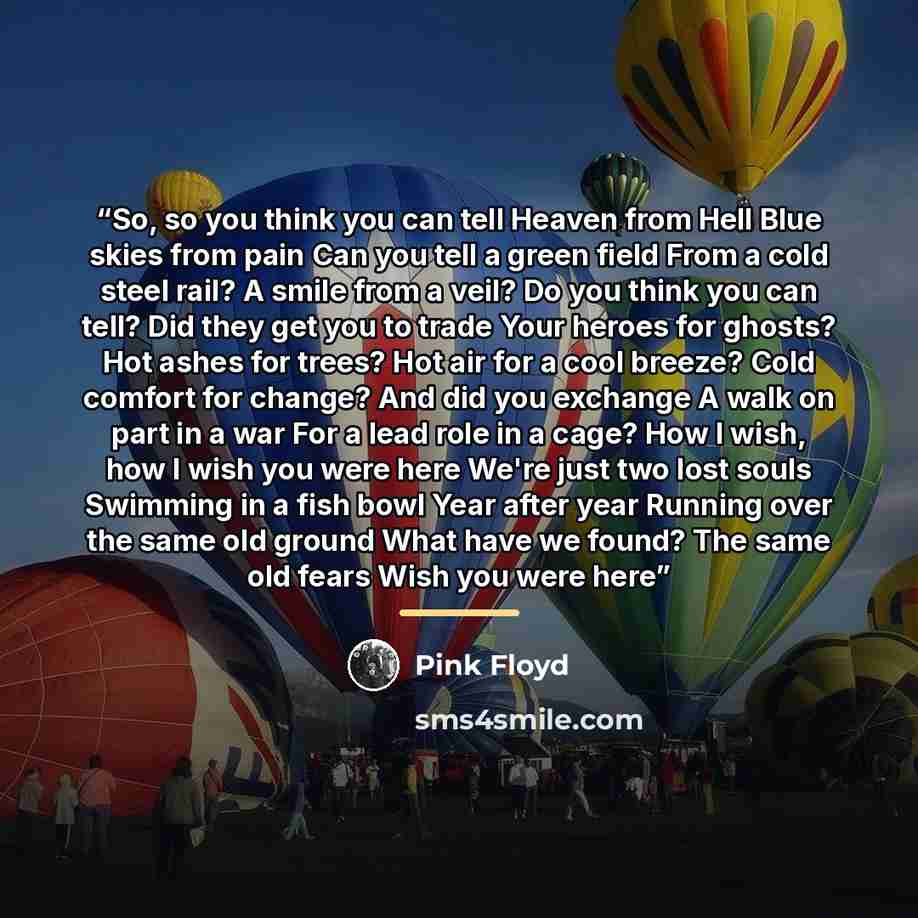“So, so you think you can tell Heaven from Hell Blue skies from pain Can you tell a green field From a cold steel rail? A smile from a veil? Do you think you can tell? Did they get you to trade Your heroes for ghosts? Hot ashes for trees? Hot air for a cool breeze? Cold comfort for change? And did…” quote by Pink Floyd