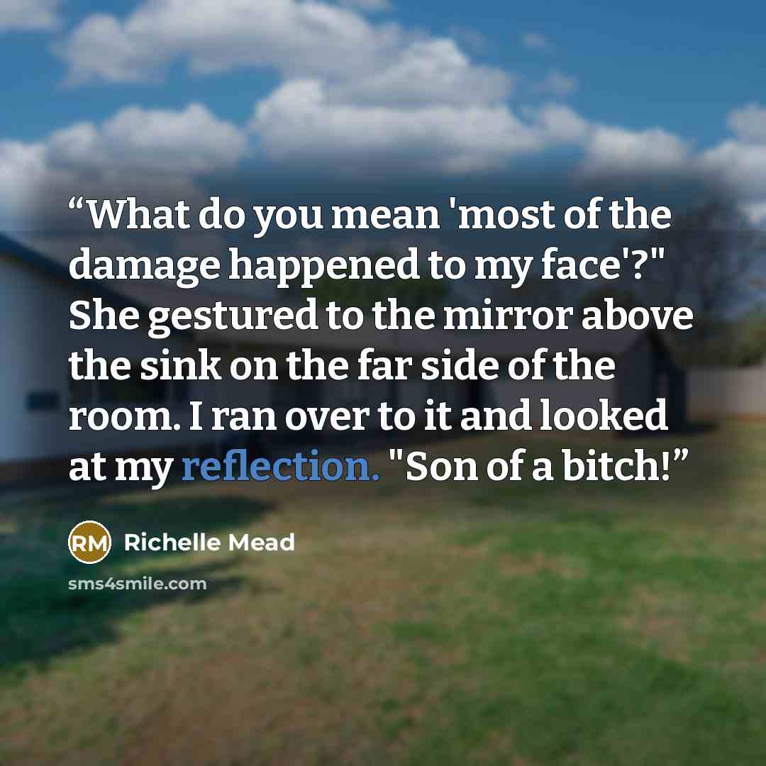 “What do you mean 'most of the damage happened to my face'?" She gestured to the mirror above the sink on the far side of the room. I ran over to it and looked at my reflection. "Son of a bitch!” quote by Richelle Mead