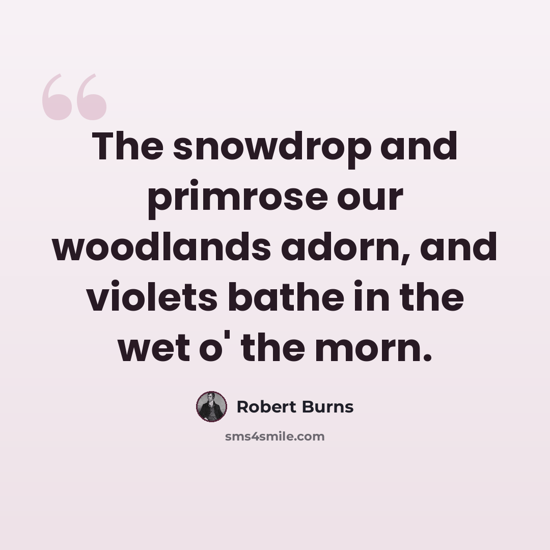 “The snowdrop and primrose our woodlands adorn, and violets bathe in the wet o' the morn.” quote by Robert Burns