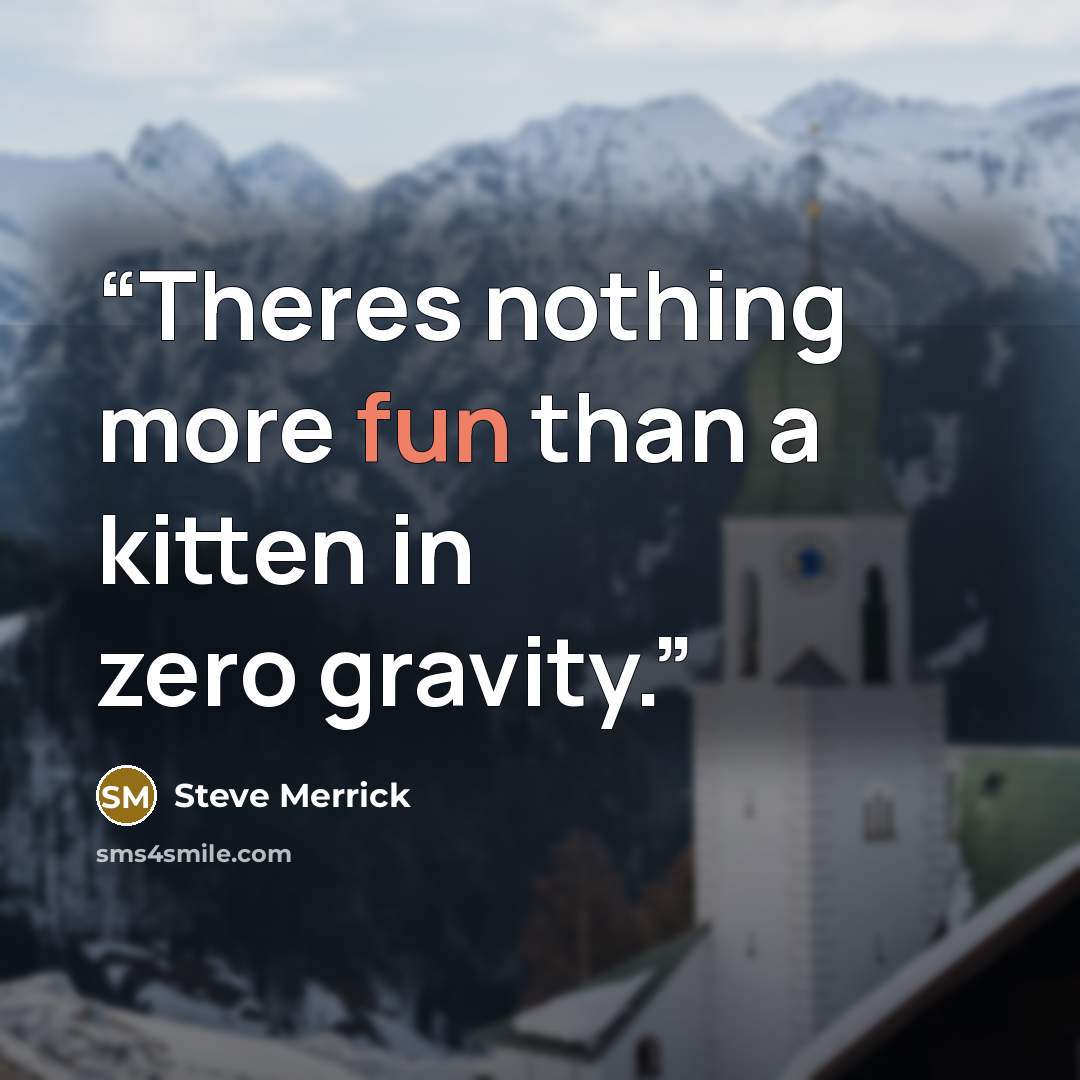 “Theres nothing more fun than a kitten in zero gravity.” quote by Steve Merrick