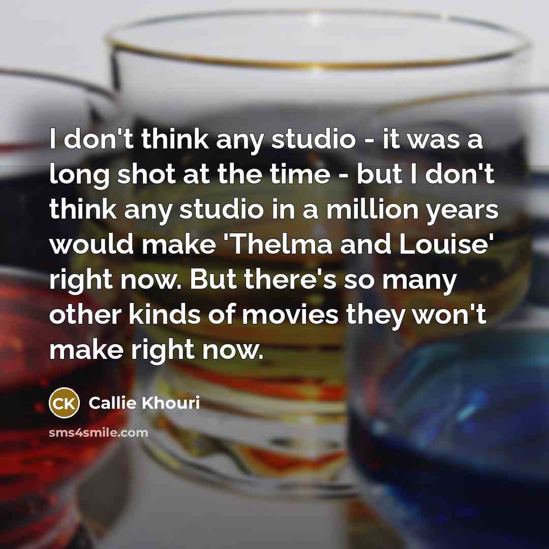 “I don't think any studio - it was a long shot at the time - but I don't think any studio in a million years would make 'Thelma and Louise' right now. But there's so many other kinds of movies they won't make right now.” quote by Callie Khouri