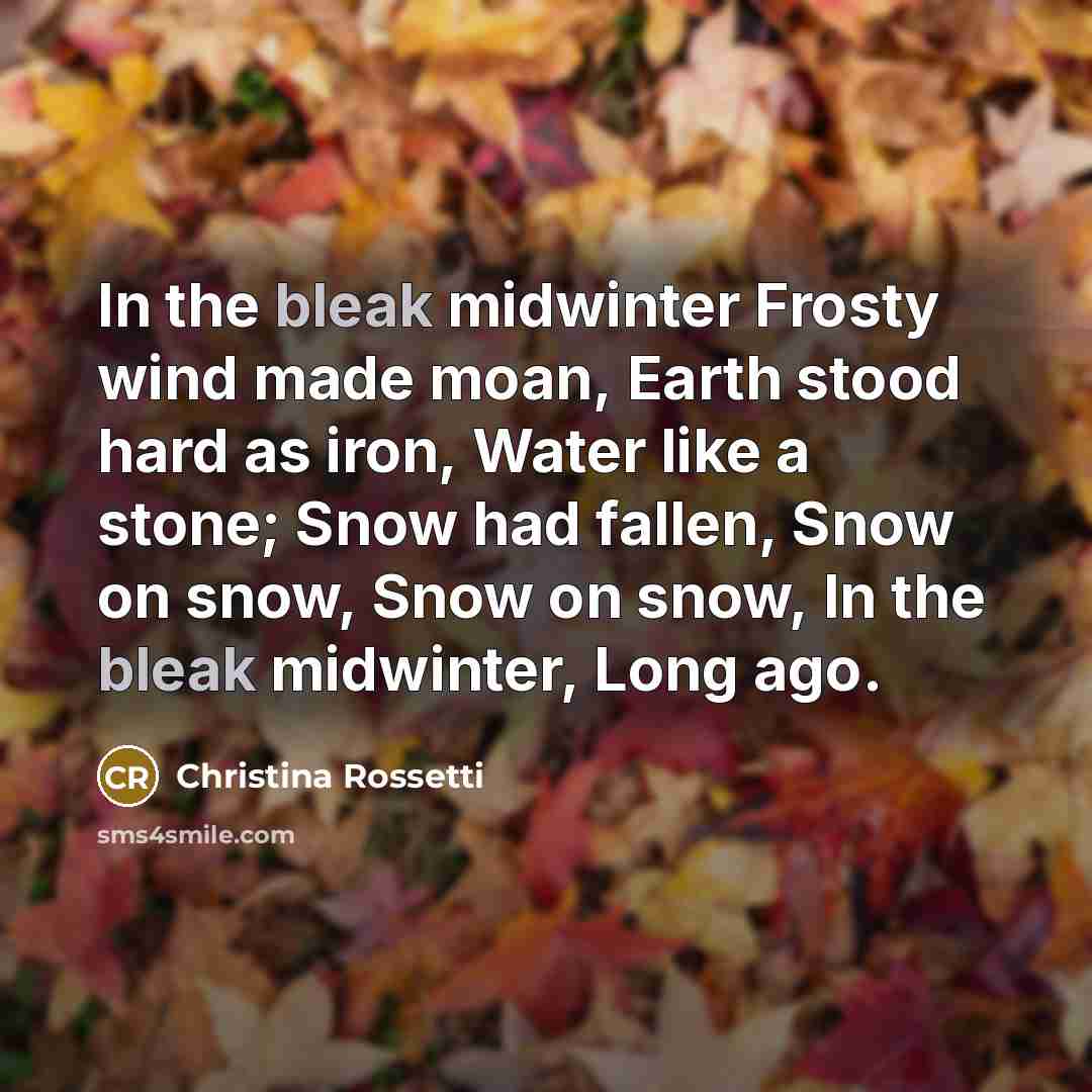 “In the bleak midwinter Frosty wind made moan, Earth stood hard as iron, Water like a stone; Snow had fallen, Snow on snow, Snow on snow, In the bleak midwinter, Long ago.” quote by Christina Rossetti
