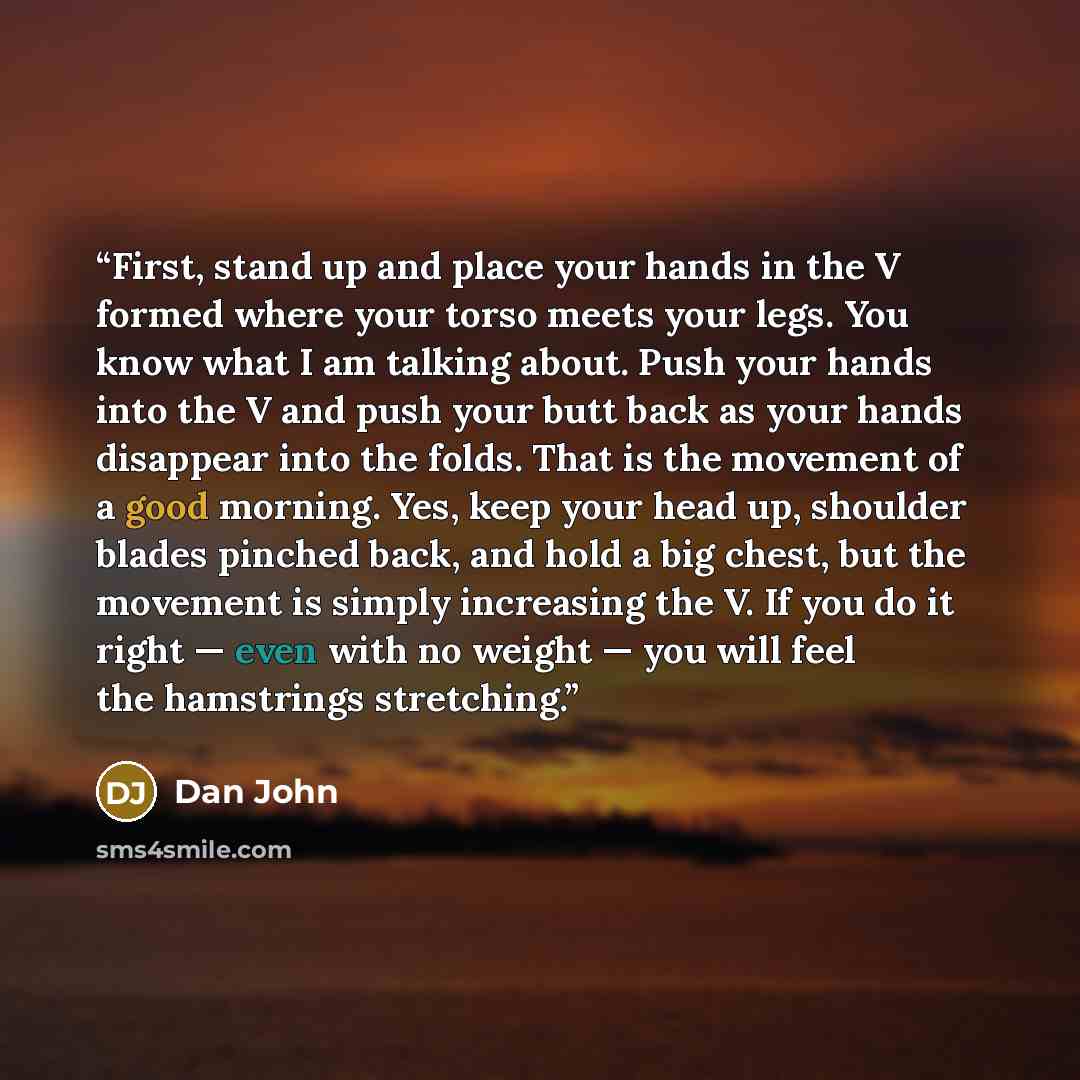 “First, stand up and place your hands in the V formed where your torso meets your legs. You know what I am talking about. Push your hands into the V and push your butt back as your hands disappear into the folds. That is the movement of a good morning. Yes, keep your head up, shoulder blades…” quote by Dan John