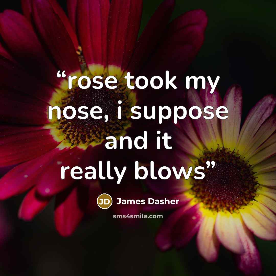 “rose took my nose, i suppose and it really blows” quote by James Dasher