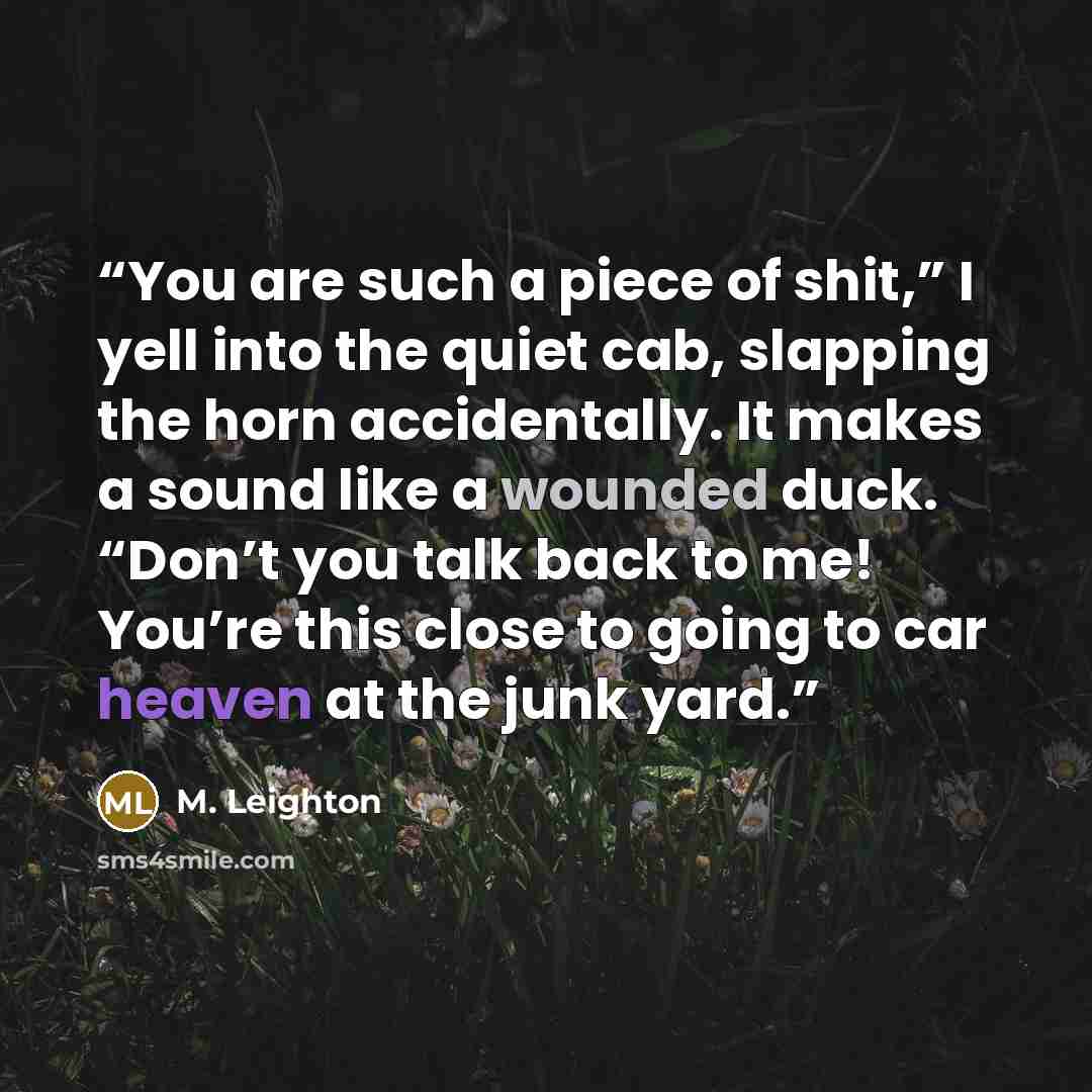 “You are such a piece of shit,” I yell into the quiet cab, slapping the horn accidentally. It makes a sound like a wounded duck. “Don’t you talk back to me! You’re this close to going to car heaven at the junk yard.” quote by M. Leighton