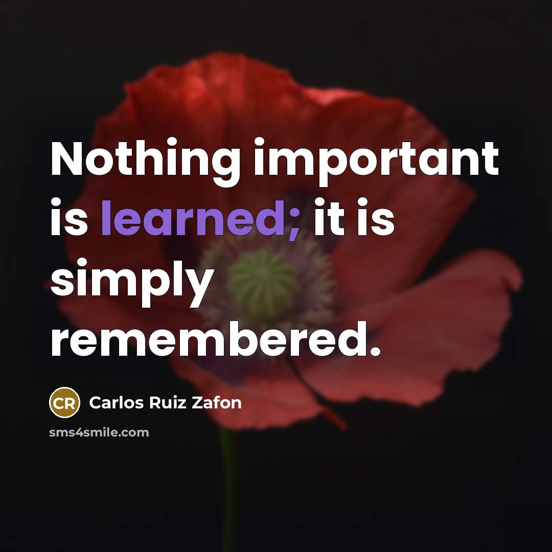 “Nothing important is learned; it is simply remembered.” quote by Carlos Ruiz Zafon