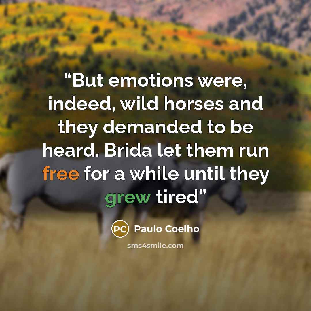 “But emotions were, indeed, wild horses and they demanded to be heard. Brida let them run free for a while until they grew tired” quote by Paulo Coelho