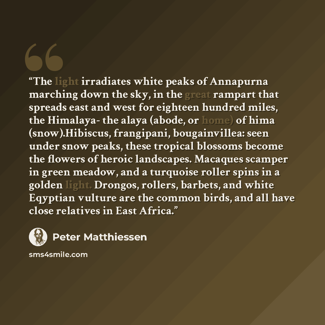 “The light irradiates white peaks of Annapurna marching down the sky, in the great rampart that spreads east and west for eighteen hundred miles, the Himalaya- the alaya (abode, or home) of hima (snow).Hibiscus, frangipani, bougainvillea: seen under snow peaks, these tropical blossoms become the…” quote by Peter Matthiessen