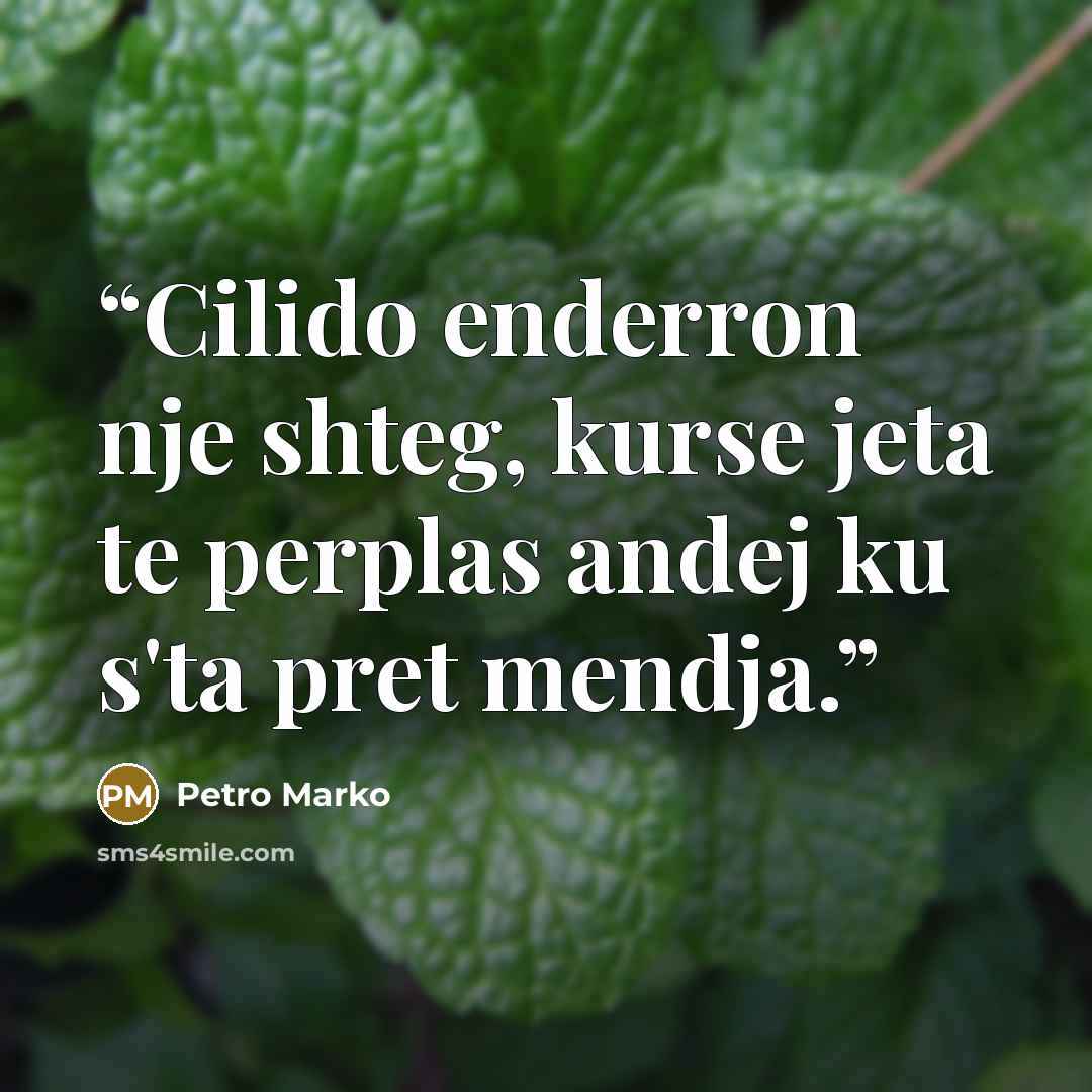 “Cilido enderron nje shteg, kurse jeta te perplas andej ku s'ta pret mendja.” quote by Petro Marko