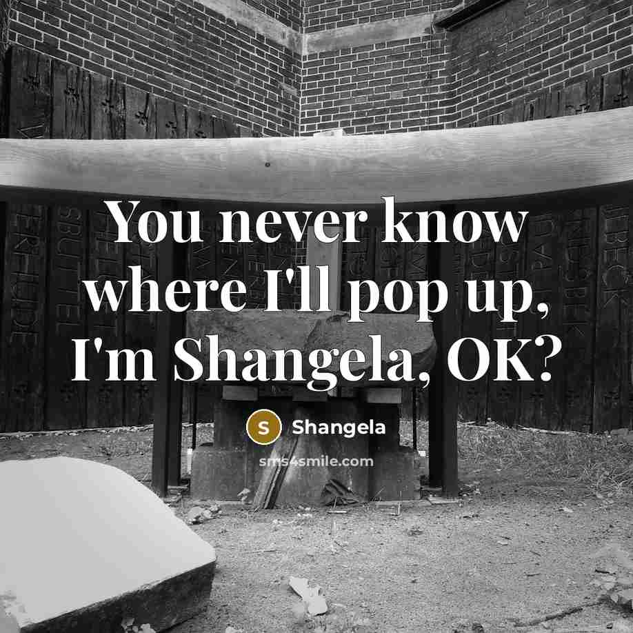 “You never know where I'll pop up, I'm Shangela, OK?” quote by Shangela