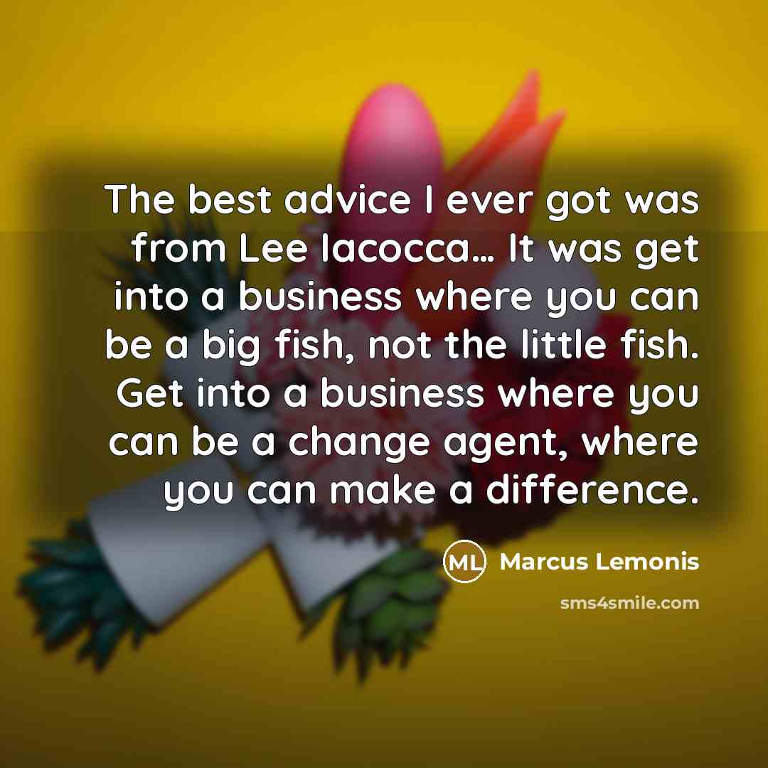 “The best advice I ever got was from Lee Iacocca… It was get into a business where you can be a big fish, not the little fish. Get into a business where you can be a change agent, where you can make a difference.” quote by Marcus Lemonis