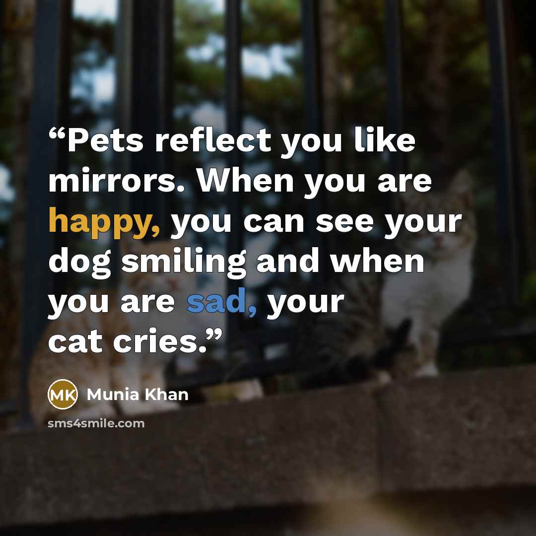 “Pets reflect you like mirrors. When you are happy, you can see your dog smiling and when you are sad, your cat cries.” quote by Munia Khan