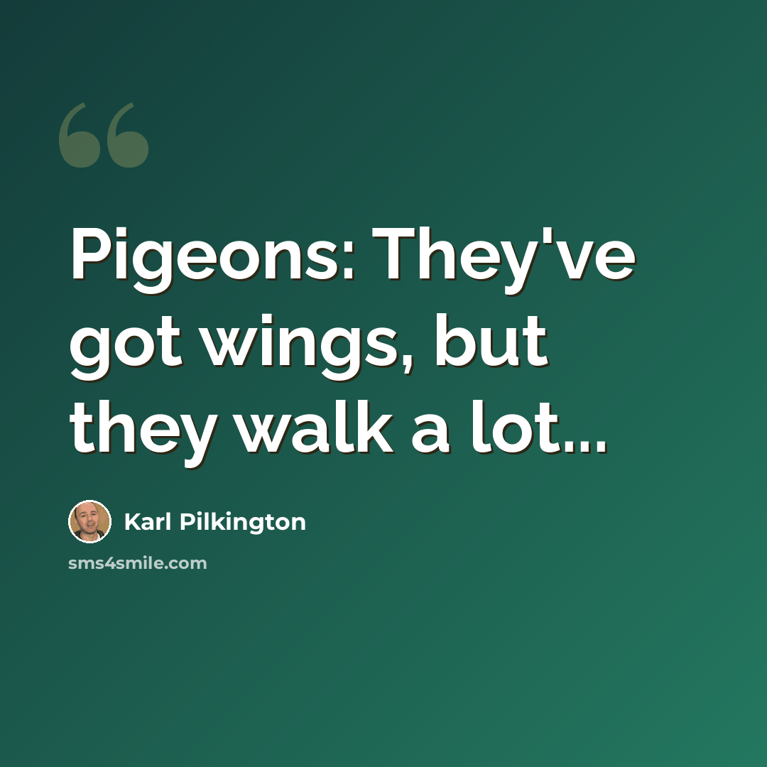 “Pigeons: They've got wings, but they walk a lot...” quote by Karl Pilkington