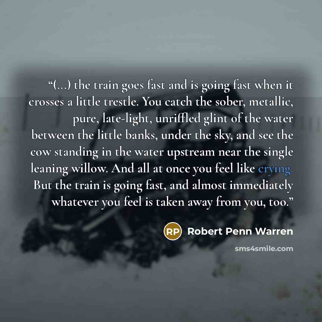“(...) the train goes fast and is going fast when it crosses a little trestle. You catch the sober, metallic, pure, late-light, unriffled glint of the water between the little banks, under the sky, and see the cow standing in the water upstream near the single leaning willow. And all at once you…” quote by Robert Penn Warren