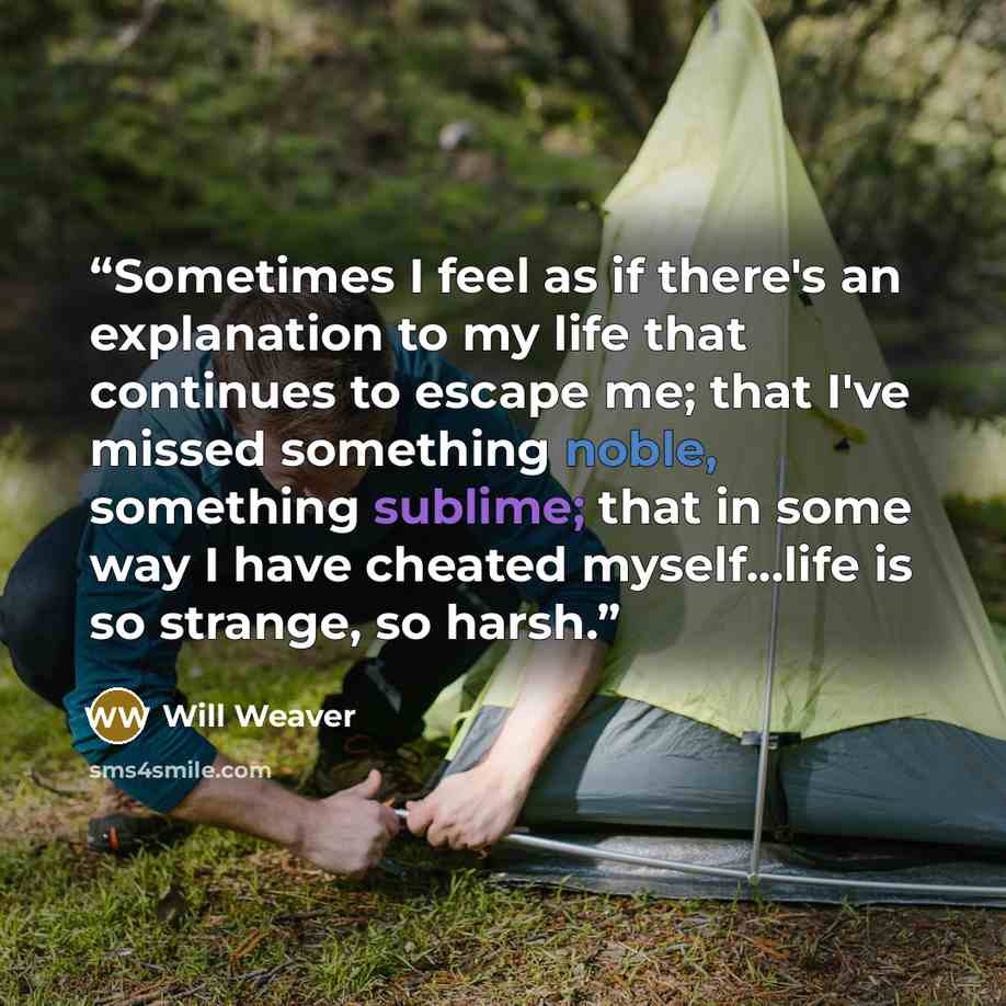 “Sometimes I feel as if there's an explanation to my life that continues to escape me; that I've missed something noble, something sublime; that in some way I have cheated myself...life is so strange, so harsh.” quote by Will Weaver
