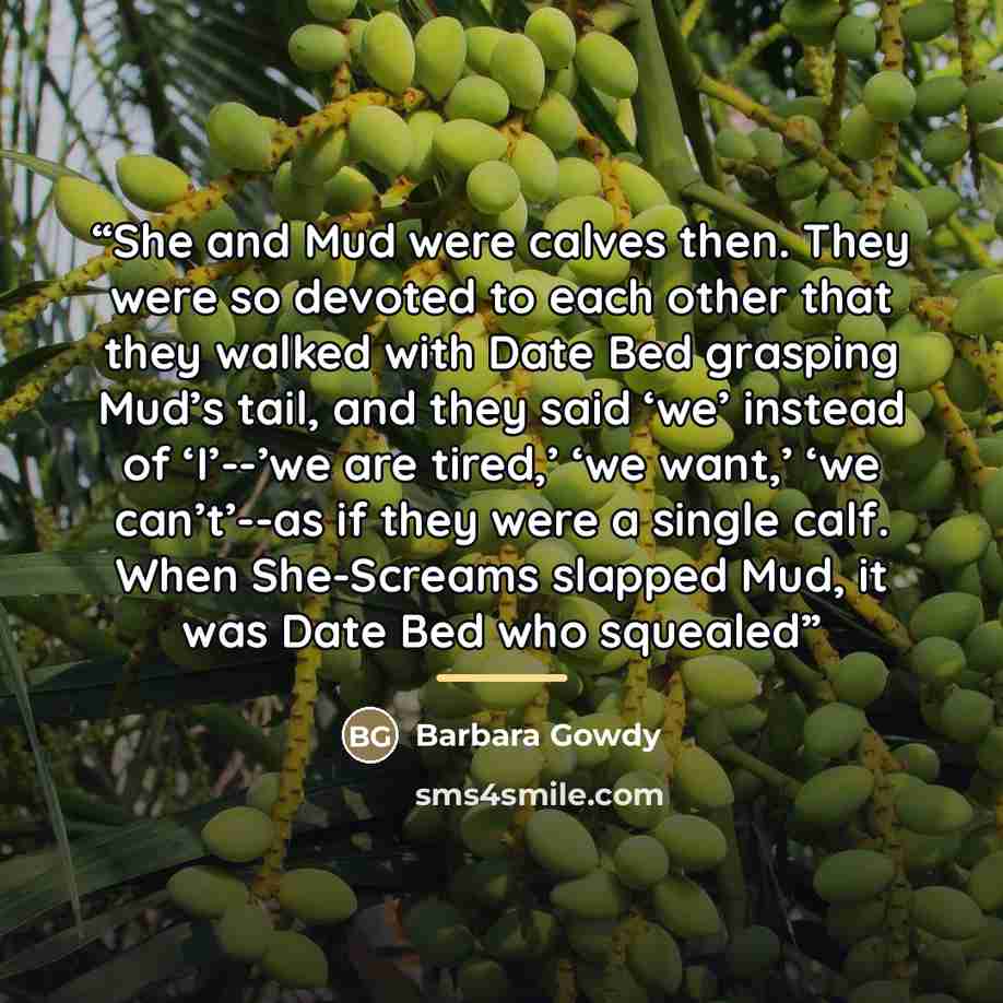 “She and Mud were calves then. They were so devoted to each other that they walked with Date Bed grasping Mud’s tail, and they said ‘we’ instead of ‘I’--’we are tired,’ ‘we want,’ ‘we can’t’--as if they were a single calf. When She-Screams slapped Mud, it was Date Bed who squealed” quote by Barbara Gowdy