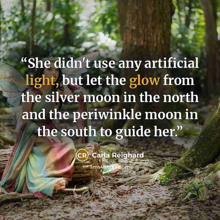 “She didn't use any artificial light, but let the glow from the silver moon in the north and the periwinkle moon in the south to guide her.” quote by Carla Reighard