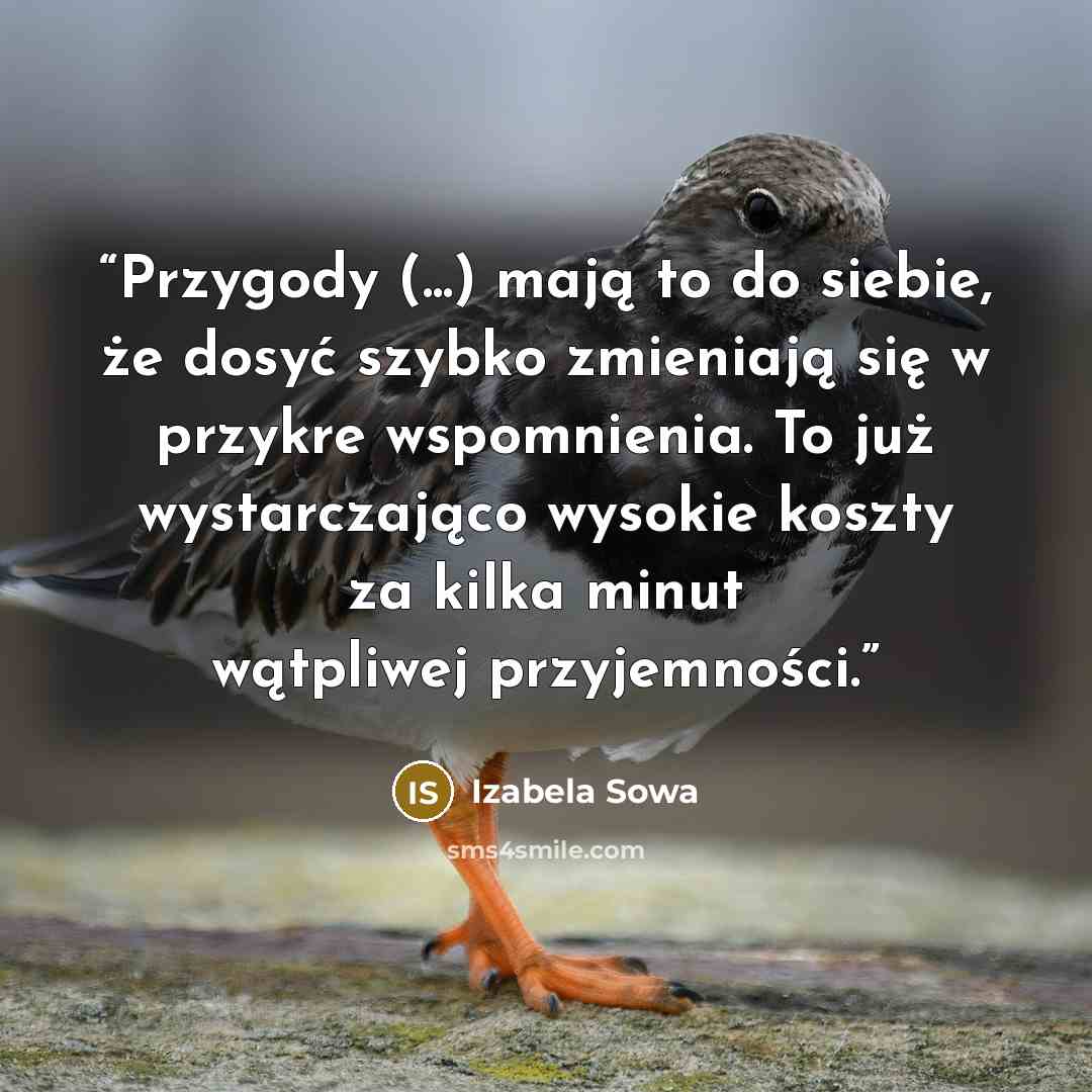 “Przygody (...) mają to do siebie, że dosyć szybko zmieniają się w przykre wspomnienia. To już wystarczająco wysokie koszty za kilka minut wątpliwej przyjemności.” quote by Izabela Sowa