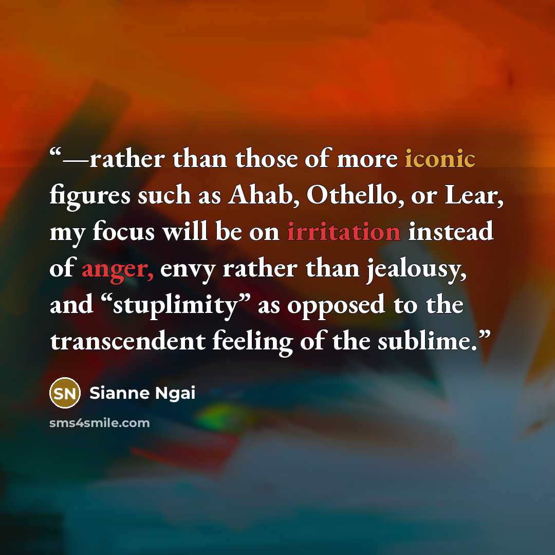 “—rather than those of more iconic figures such as Ahab, Othello, or Lear, my focus will be on irritation instead of anger, envy rather than jealousy, and “stuplimity” as opposed to the transcendent feeling of the sublime.” quote by Sianne Ngai