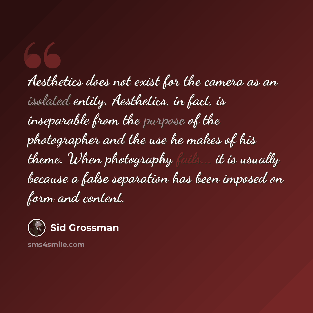“Aesthetics does not exist for the camera as an isolated entity. Aesthetics, in fact, is inseparable from the purpose of the photographer and the use he makes of his theme. When photography fails... it is usually because a false separation has been imposed on form and content.” quote by Sid Grossman
