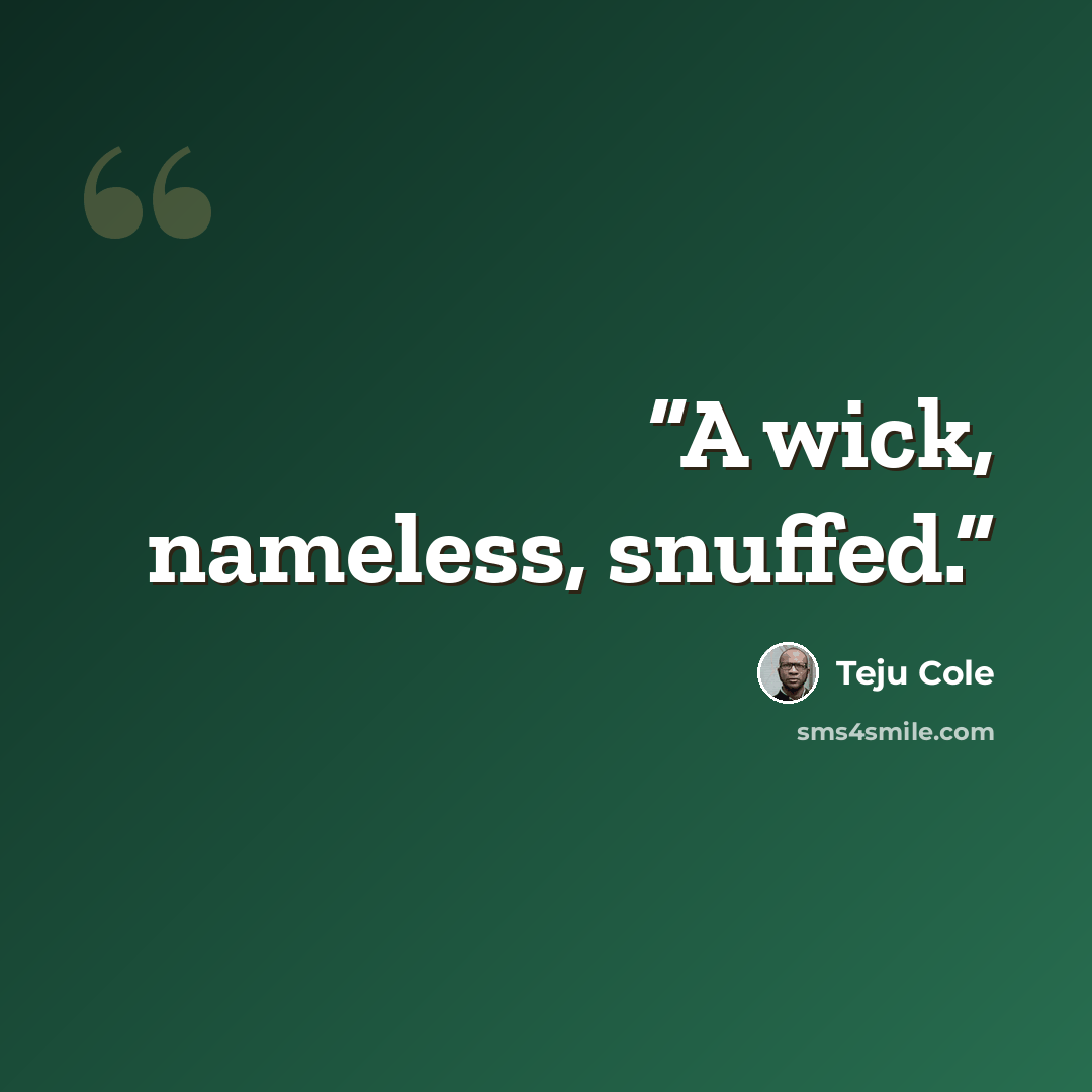 “A wick, nameless, snuffed.” quote by Teju Cole