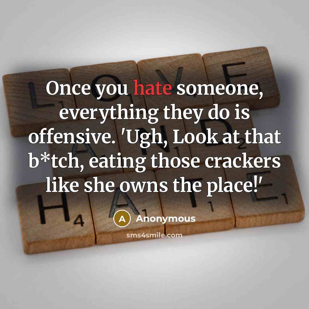 “Once you hate someone, everything they do is offensive. 'Ugh, Look at that b*tch, eating those crackers like she owns the place!'” quote by Anonymous