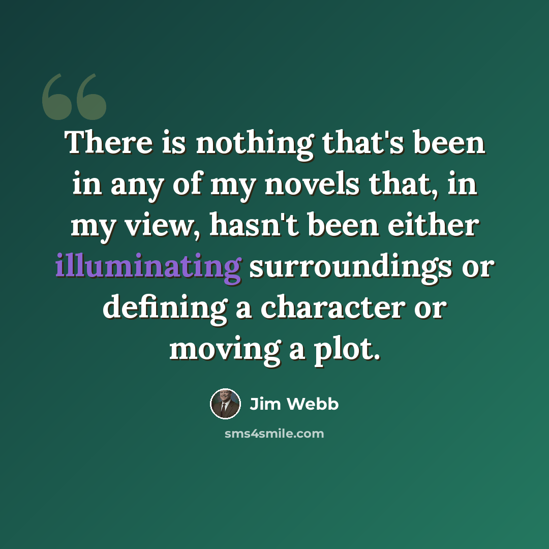 “There is nothing that's been in any of my novels that, in my view, hasn't been either illuminating surroundings or defining a character or moving a plot.” quote by Jim Webb