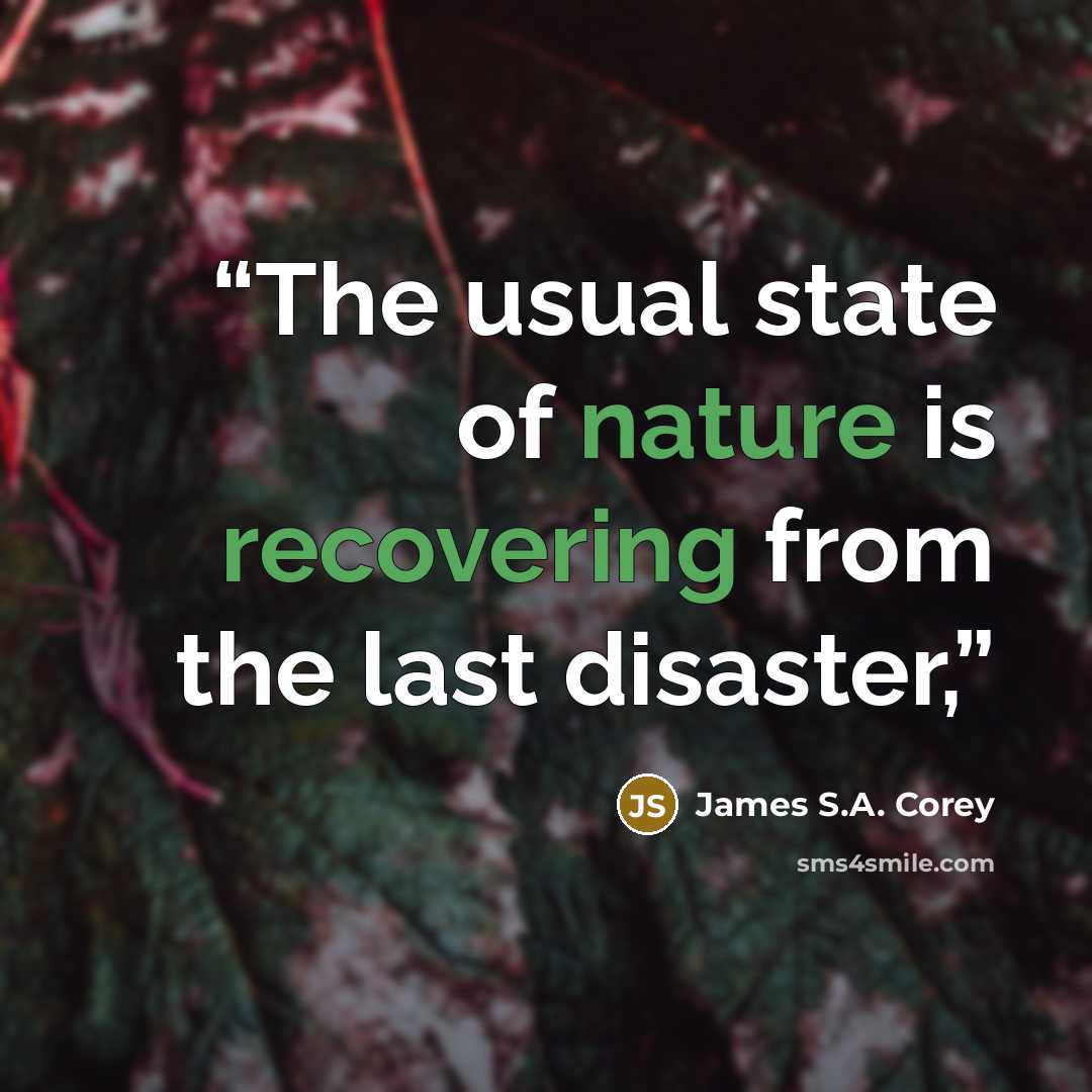 “The usual state of nature is recovering from the last disaster,” quote by James S.A. Corey