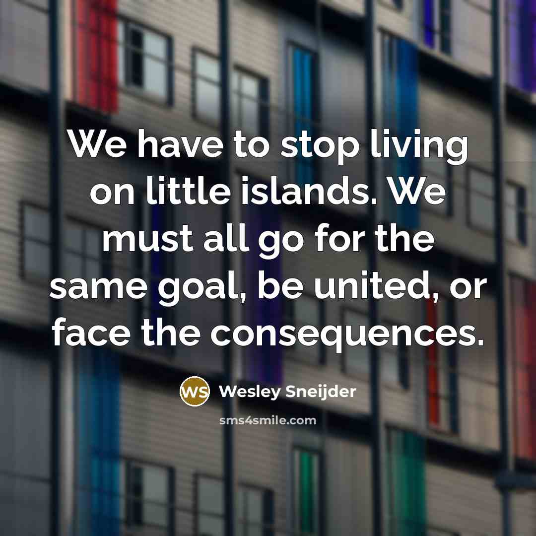 “We have to stop living on little islands. We must all go for the same goal, be united, or face the consequences.” quote by Wesley Sneijder