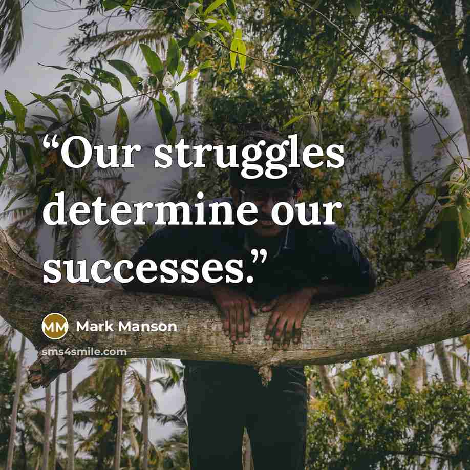 “Our struggles determine our successes.” quote by Mark Manson