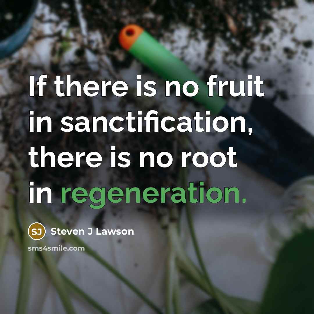 “If there is no fruit in sanctification, there is no root in regeneration.” quote by Steven J Lawson
