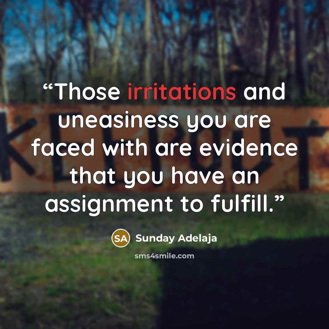 “Those irritations and uneasiness you are faced with are evidence that you have an assignment to fulfill.” quote by Sunday Adelaja