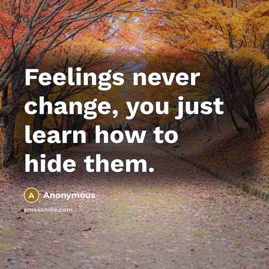 “Feelings never change, you just learn how to hide them.” quote by Anonymous