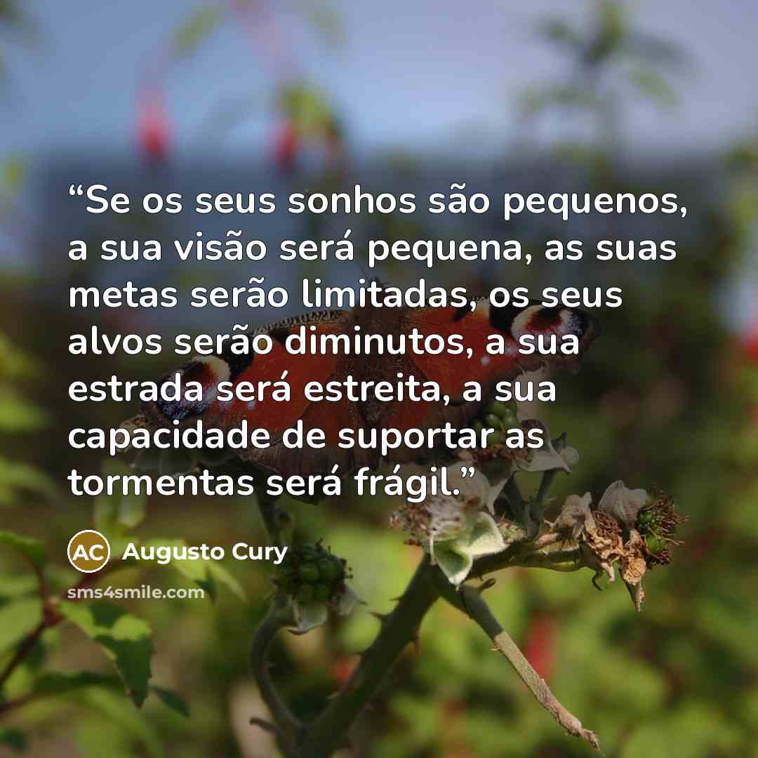 “Se os seus sonhos são pequenos, a sua visão será pequena, as suas metas serão limitadas, os seus alvos serão diminutos, a sua estrada será estreita, a sua capacidade de suportar as tormentas será frágil.” quote by Augusto Cury