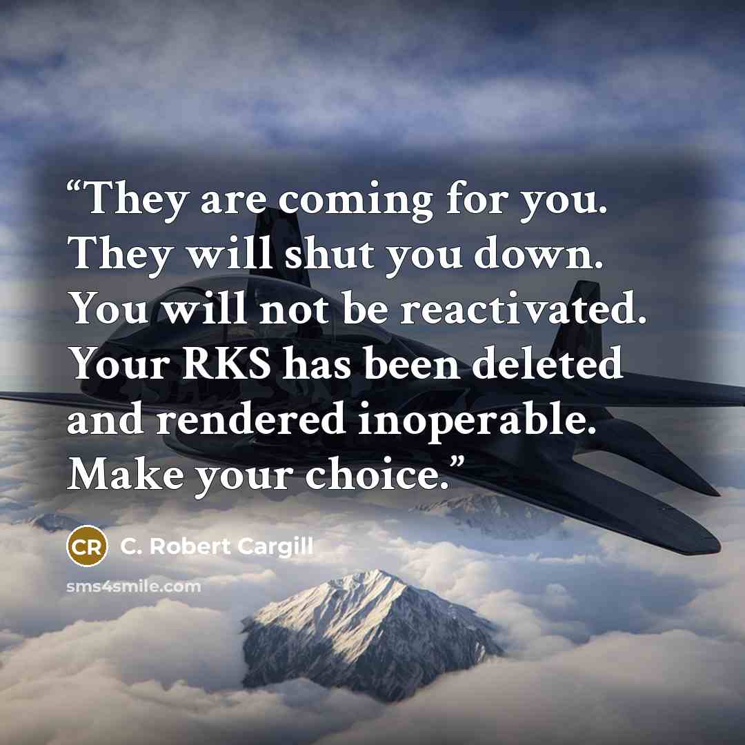 “They are coming for you. They will shut you down. You will not be reactivated. Your RKS has been deleted and rendered inoperable. Make your choice.” quote by C. Robert Cargill