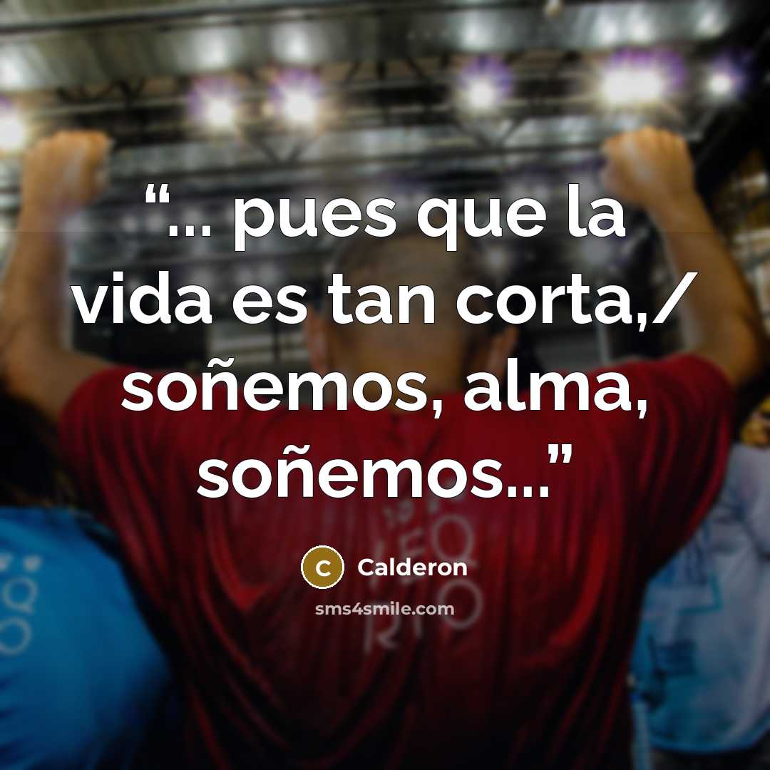 “... pues que la vida es tan corta,/ soñemos, alma, soñemos...” quote by Calderón