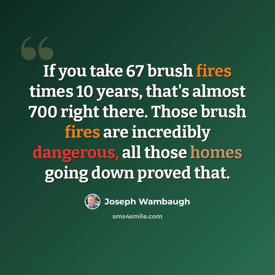 “If you take 67 brush fires times 10 years, that's almost 700 right there. Those brush fires are incredibly dangerous, all those homes going down proved that.” quote by Joseph Wambaugh
