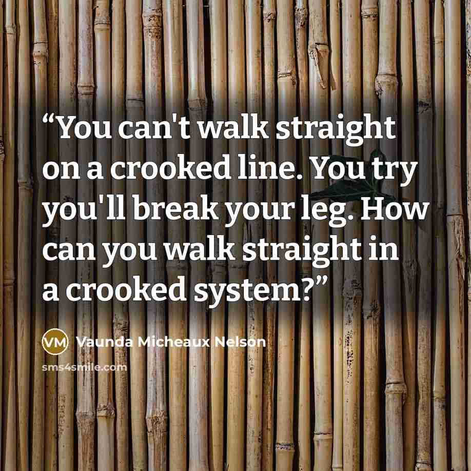 “You can't walk straight on a crooked line. You try you'll break your leg. How can you walk straight in a crooked system?” quote by Vaunda Micheaux Nelson