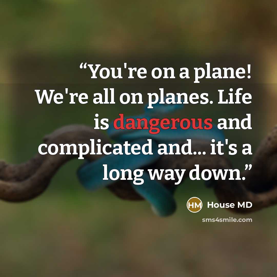 “You're on a plane! We're all on planes. Life is dangerous and complicated and... it's a long way down.” quote by House MD