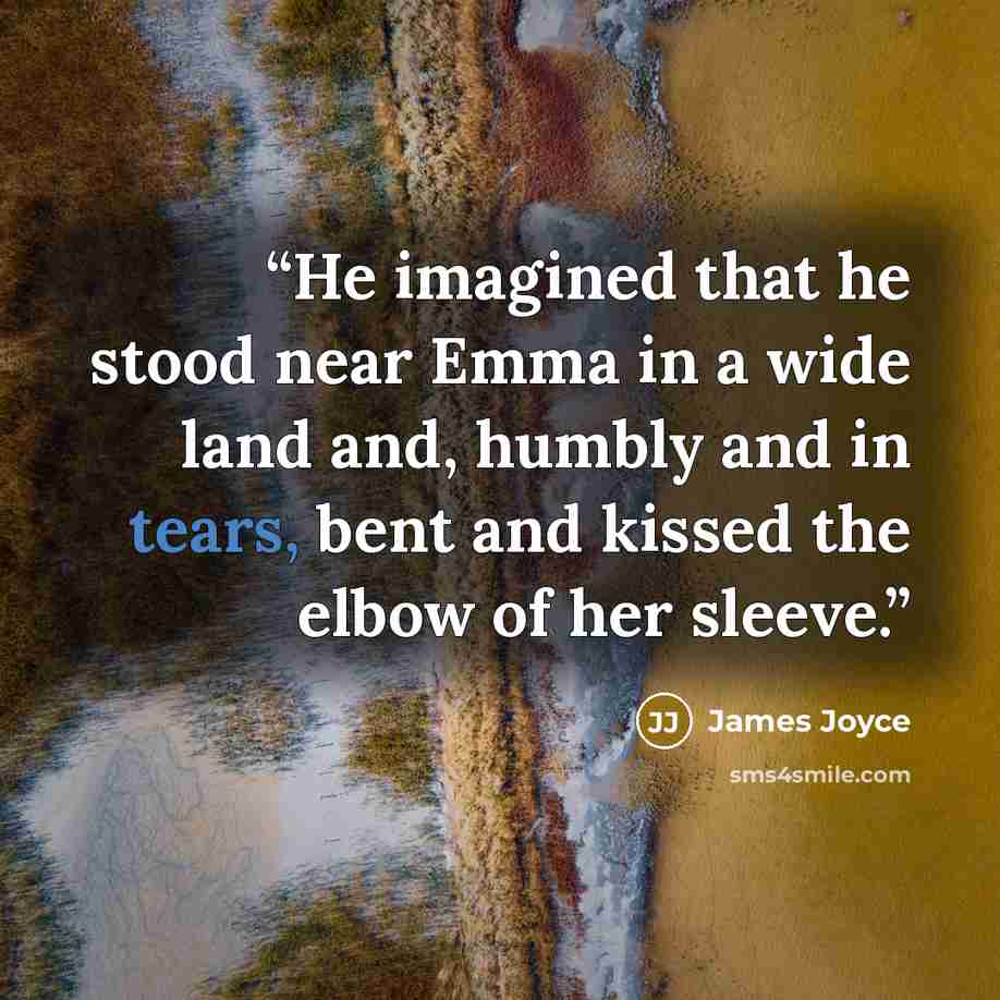 “He imagined that he stood near Emma in a wide land and, humbly and in tears, bent and kissed the elbow of her sleeve.” quote by James Joyce