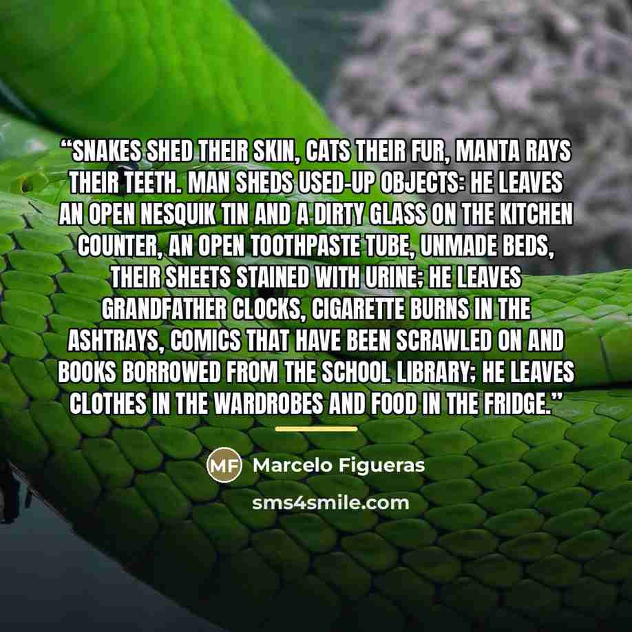 “Snakes shed their skin, cats their fur, manta rays their teeth. Man sheds used-up objects: he leaves an open Nesquik tin and a dirty glass on the kitchen counter, an open toothpaste tube, unmade beds, their sheets stained with urine; he leaves grandfather clocks, cigarette burns in the ashtrays…” quote by Marcelo Figueras